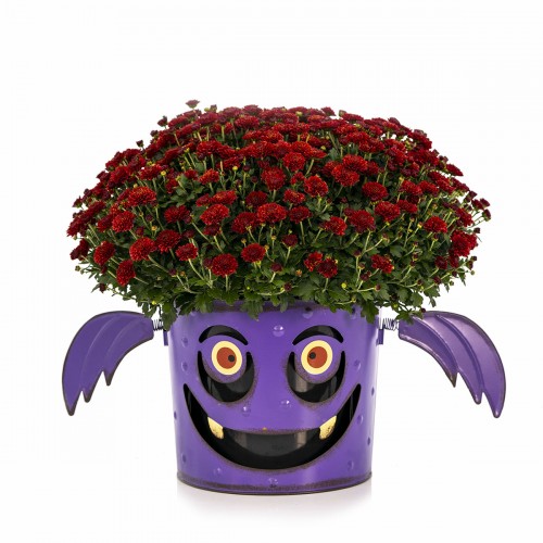 16 - BatMum Hanging Basket